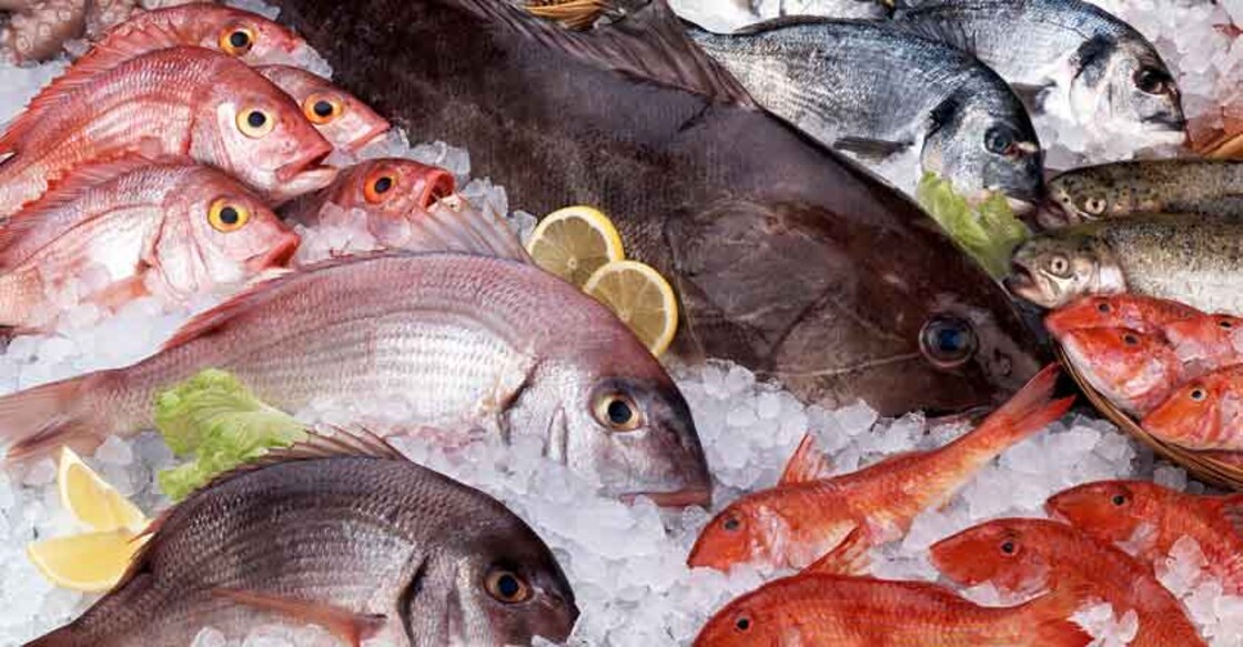 Health alert! Fish that you eat may have plastic toxins