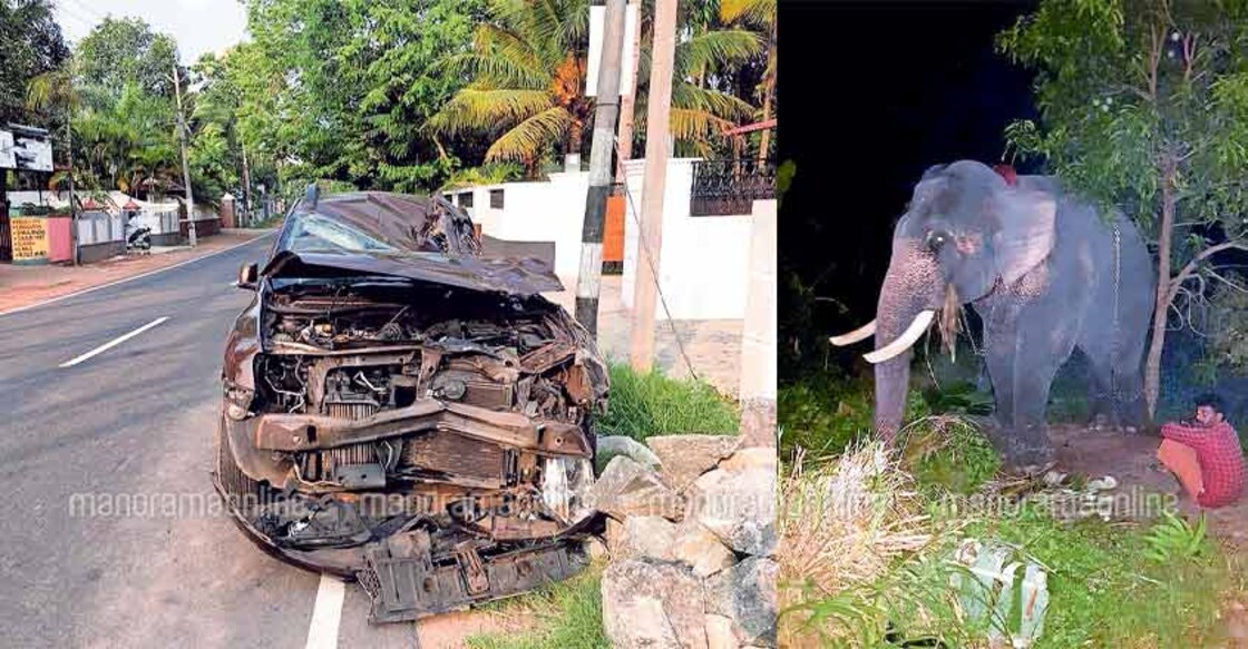 Elephant sits atop car that rammed into it