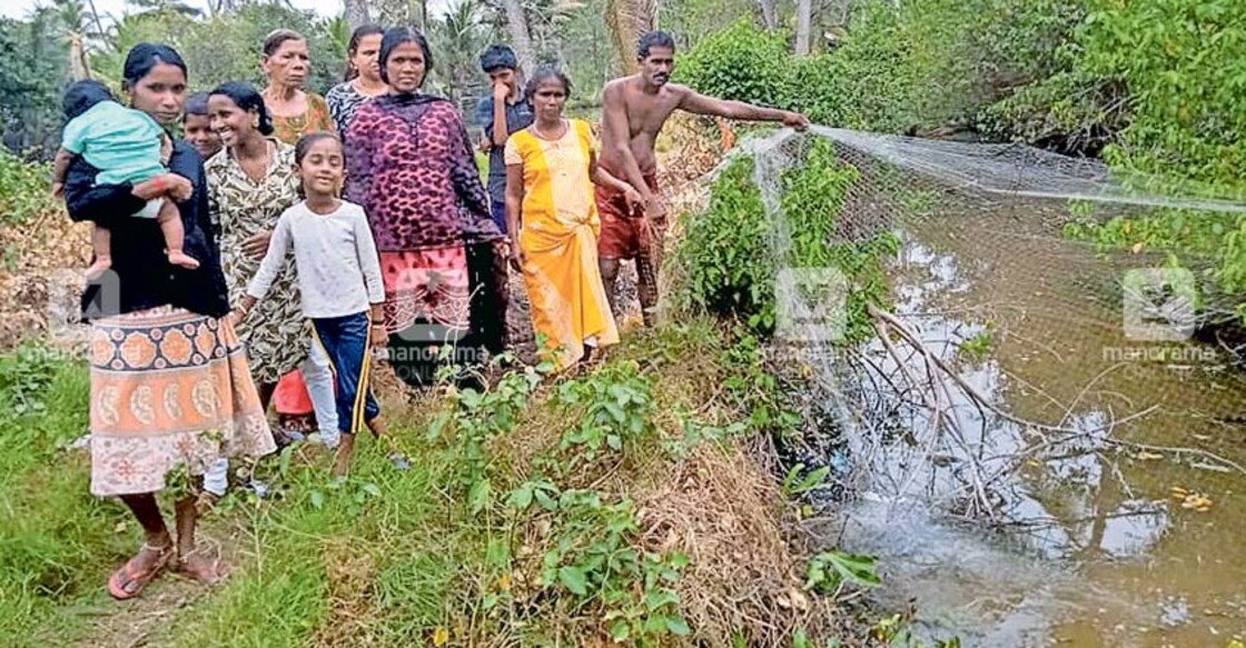 Frequent sighting of snakes unsettles coastal colony in Alappuzha