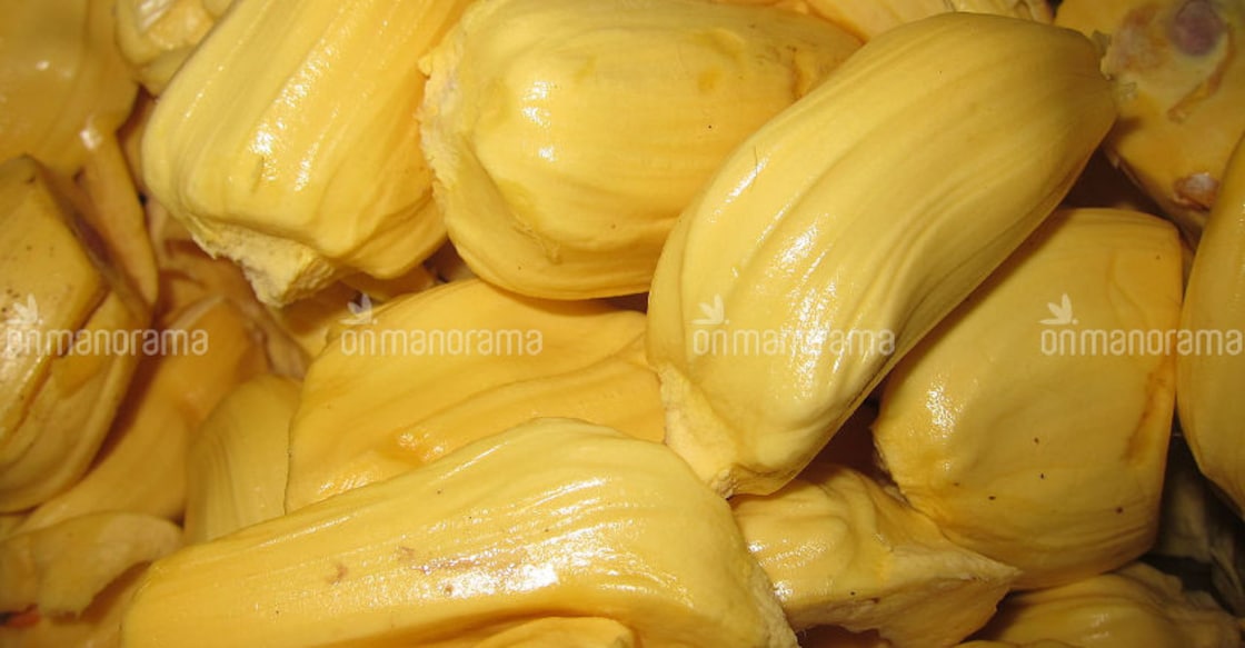 When jackfruits lend name to venues of school fest When jackfruits lend name to venues of school fest