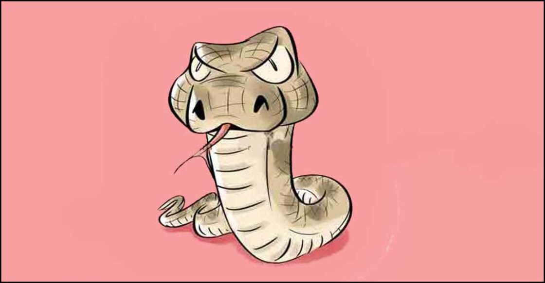 Now, you will need a licence to catch a snake in Kerala