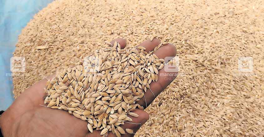 ernakulam-paddy ernakulam-paddy
