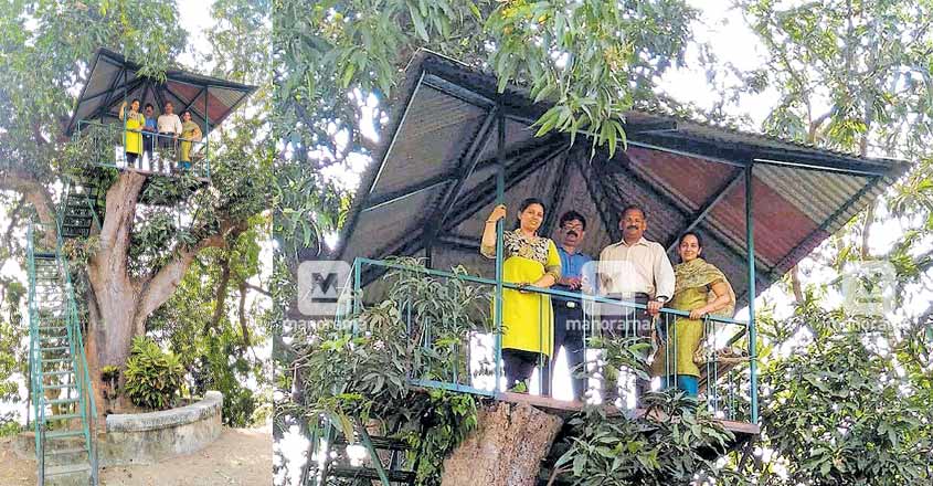 ernakulam-tree-house ernakulam-tree-house
