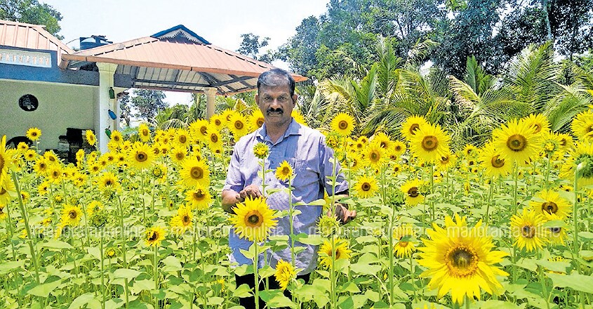 How this ingenious beekeeper boosts honey production
