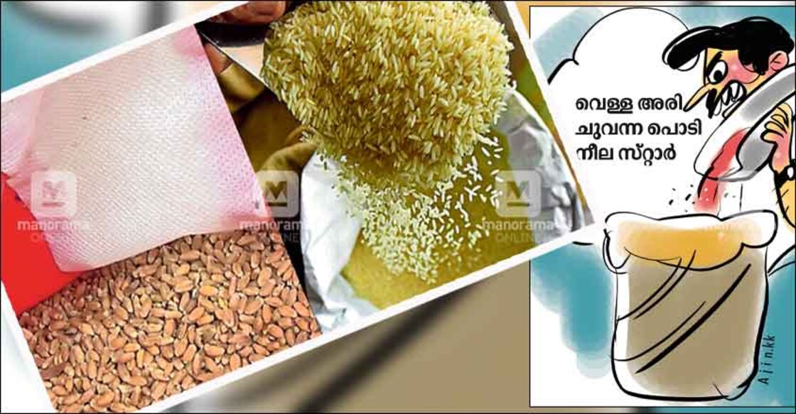 Sale of adulterated rice rampant in Idukki