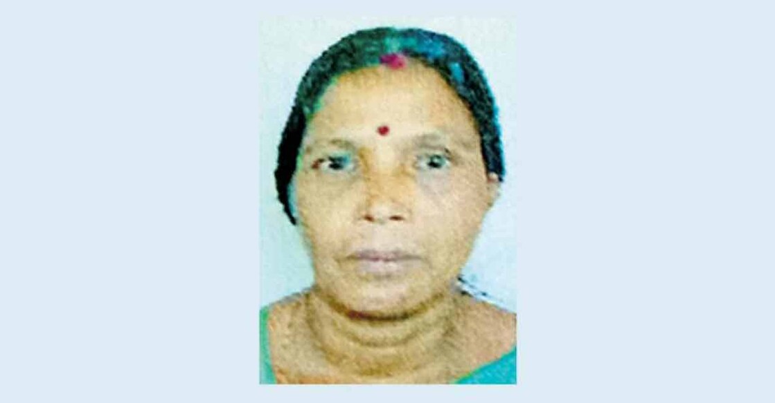 Elephant fatally tramples woman searching for her cows in nearby forest