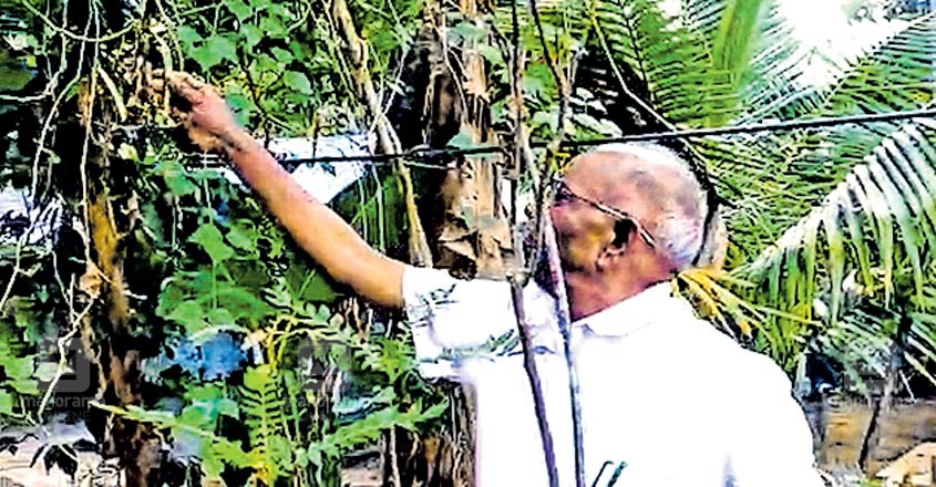 idukki-ministers-lockdown-agriculture idukki-ministers-lockdown-agriculture