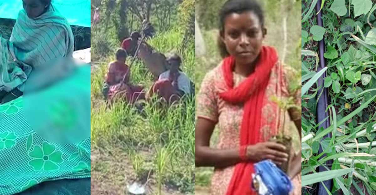 Tribal woman shot dead by sandalwood smugglers in Marayoor Tribal woman shot dead by sandalwood smugglers in Marayoor