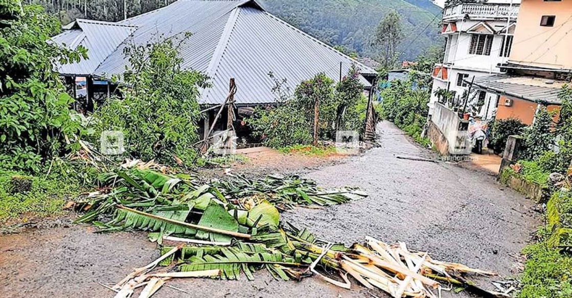 Wild tusker turns up at MLA's house in Idukki, feasts on banana plants