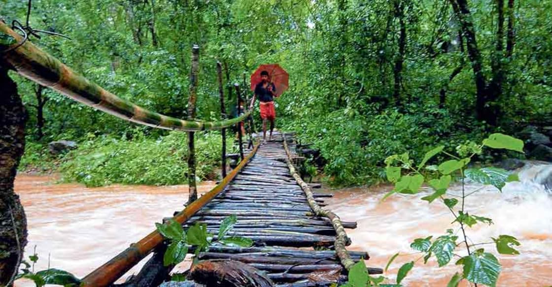 No roads, bridges or title deeds: These Adivasi families struggle for a normal life