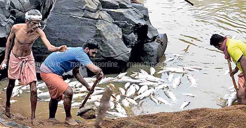 kasaragod-fish kasaragod-fish