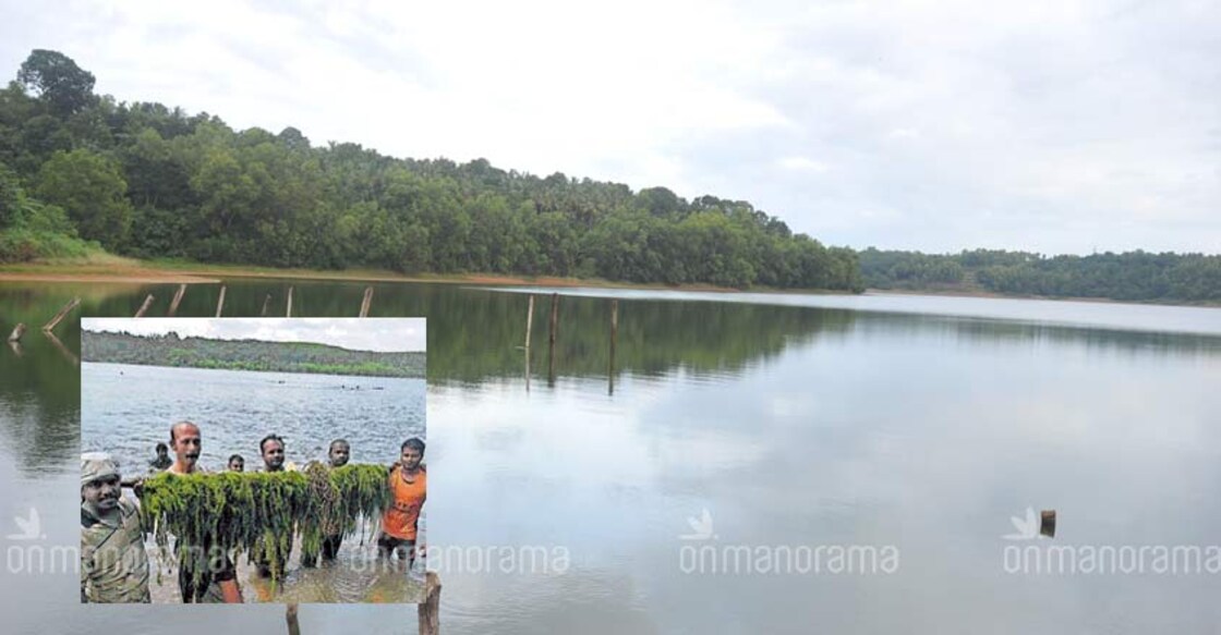 People power to the fore for Sasthamkotta lake r