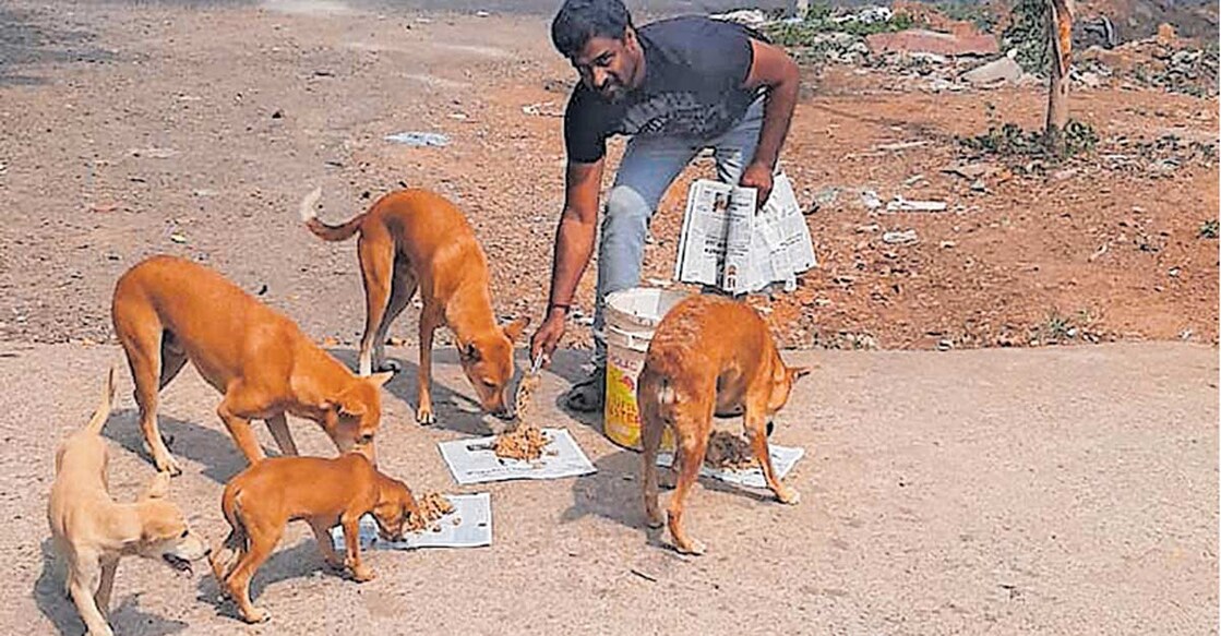 Youth saves around 120 street dogs from hunger during lockdown