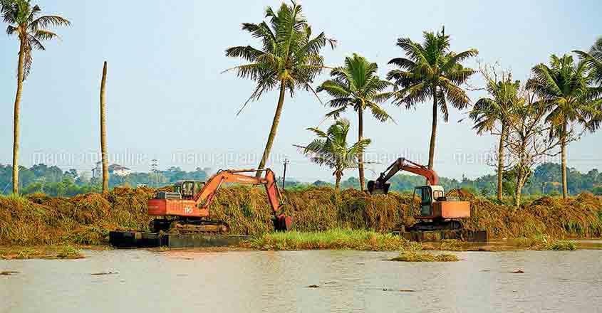 Dying paddy fields set to revive after three decades