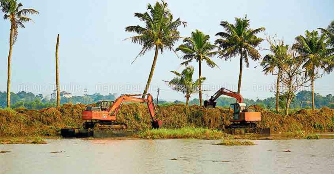 Dying paddy fields set to revive after three decades Dying paddy fields set to revive after three decades