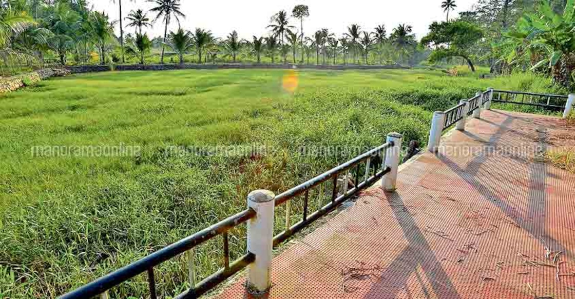 Kottayam canals await uplift before National Waterways tag