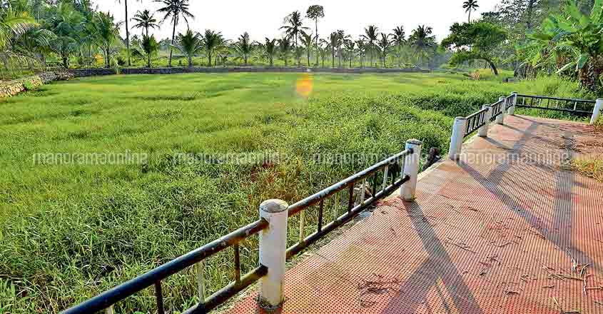 Kottayam canals await uplift before National Waterways tag