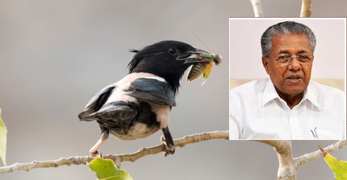 The dubiety regarding Pinarayi's Rosy pastor and Narendra Modi