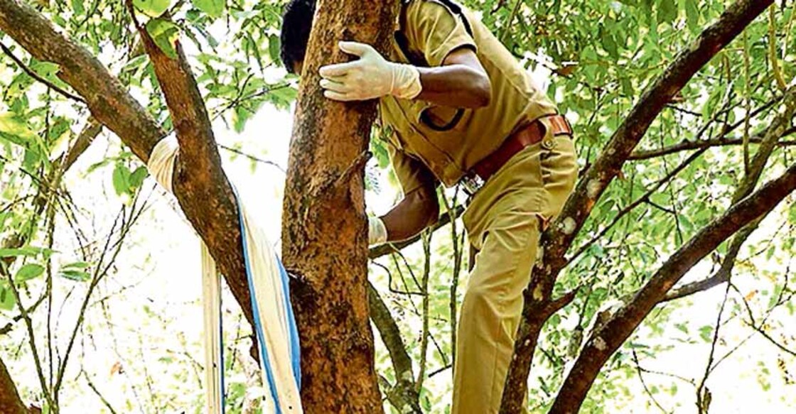 SI climbs tree to bring down rotten body