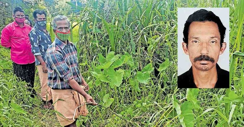 Kottayam dairy farmer electrocuted 3 months after electric line snaps from post Kottayam dairy farmer electrocuted 3 months after electric line snaps from post