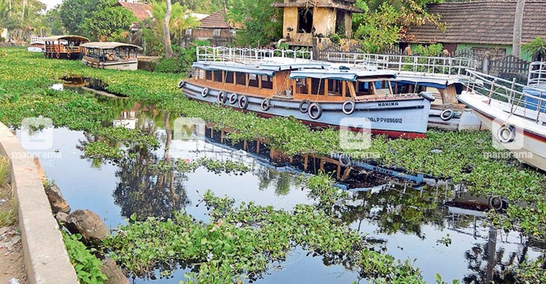 Kottayam rivers drying up fast as summer advances