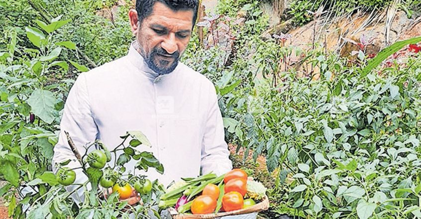 These farmers are reaping bumper harvests for their efforts during lockdown These farmers are reaping bumper harvests for their efforts during lockdown