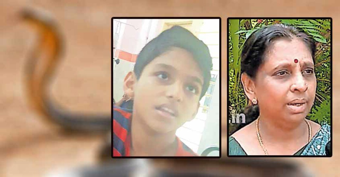 Alert teachers save student bitten by snake, avoid a Bathery rerun