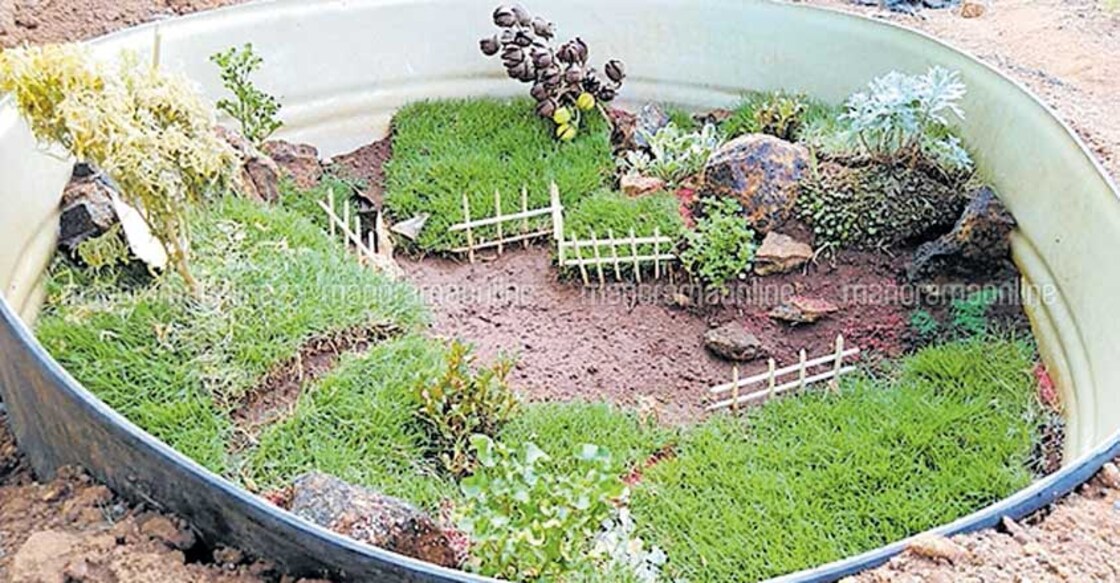 When worn-out tyres turn into flower pots  