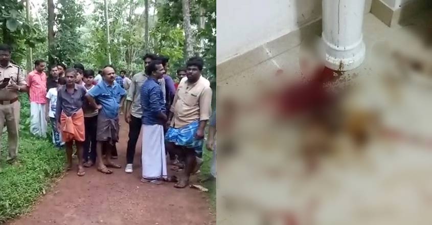 Kozhikode woman battles for life as estranged husband stabs her after flinging acid