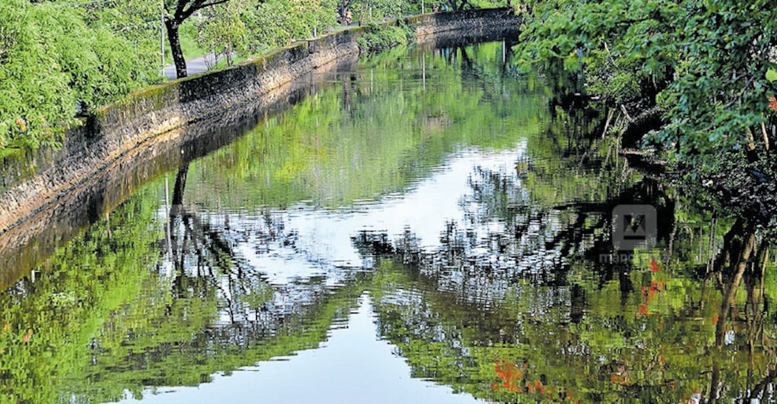 Lockdown clears Canoli canal, water now is crystal clear