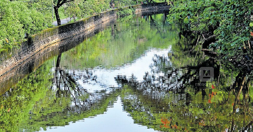 Lockdown clears Canoli canal, water now is crystal clear