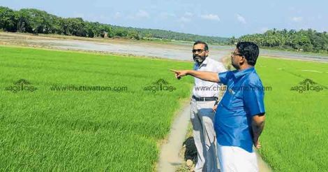 Gulf returnees in Malappuram reap a rich harvest 
