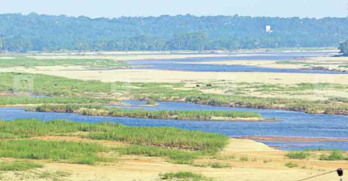 Bharathapuzha to be cleared of thickets, sandbanks