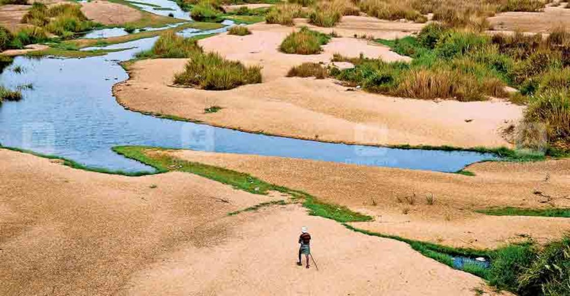 No concrete efforts, Bharathapuzha is in dire straits No concrete efforts, Bharathapuzha is in dire straits
