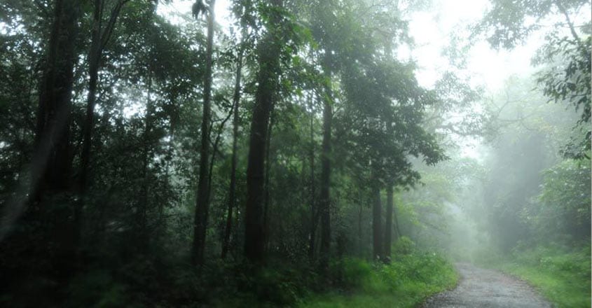 Why Pathanamthitta breathes easy unlike toxic Delhi Why Pathanamthitta breathes easy unlike toxic Delhi