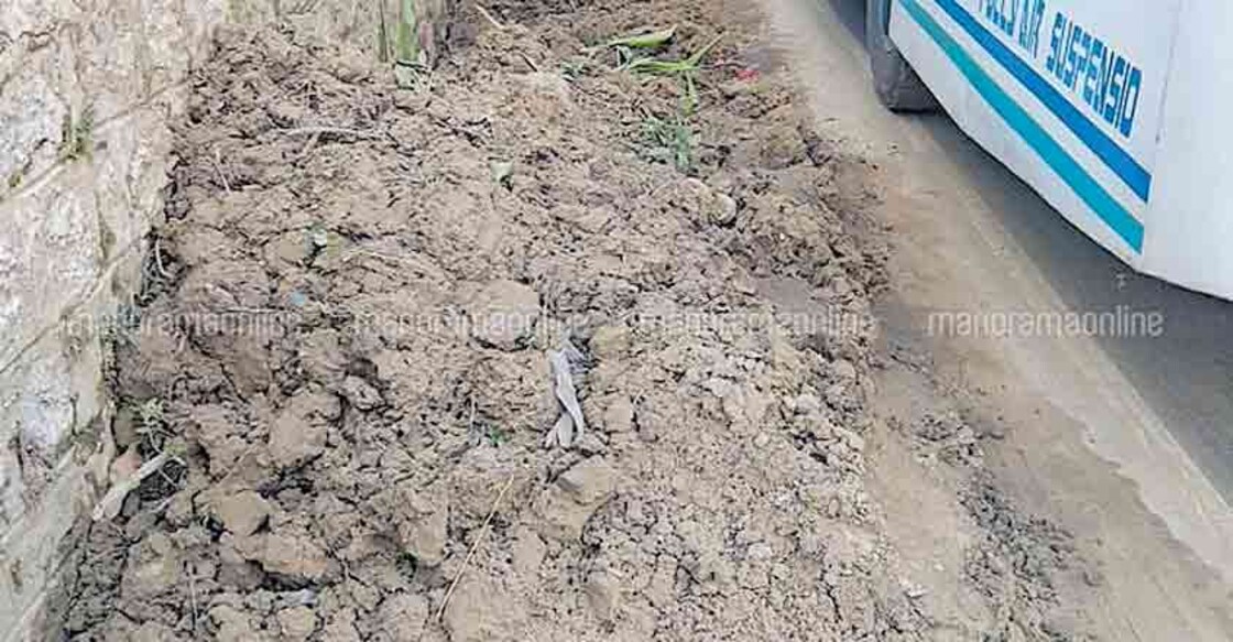 Floods bring precious soil to fields, farmers hope for bumper crop