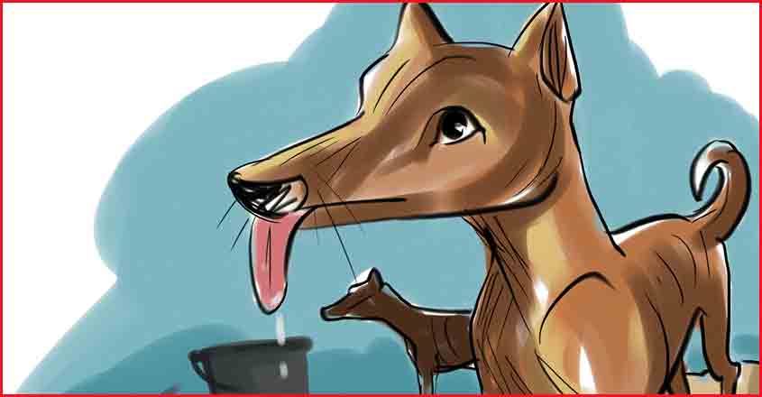 Chief Information Commissioner settles query on neighbour’s dog’s howling Chief Information Commissioner settles query on neighbour’s dog’s howling