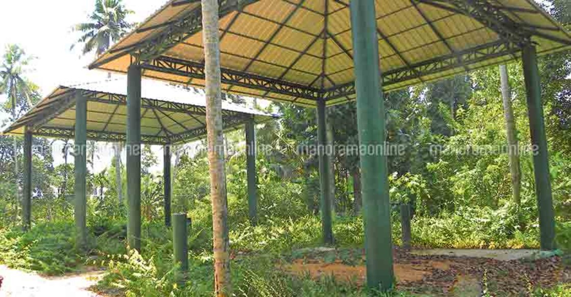 Devaswom elephant shelter turns into white elephant Devaswom elephant shelter turns into white elephant