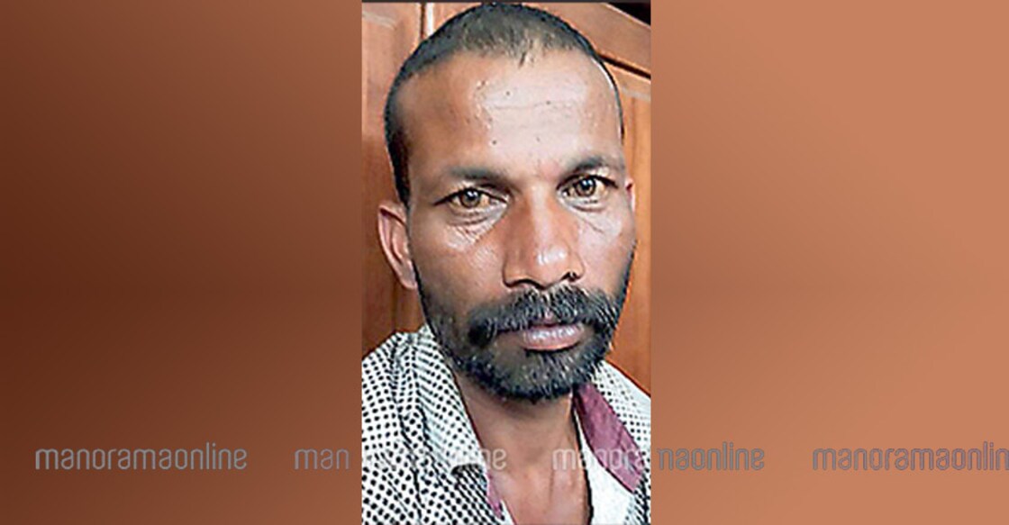 Man who stole pipes, bananas from MLA's house nabbed