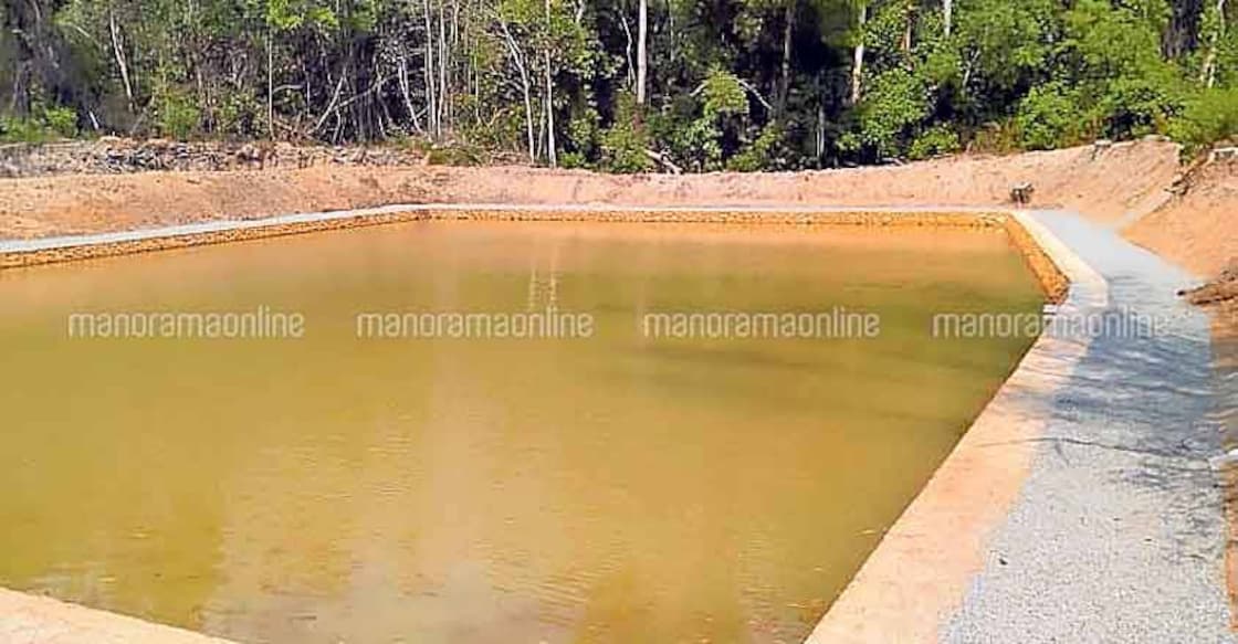 'Haunted' university pond gets new life