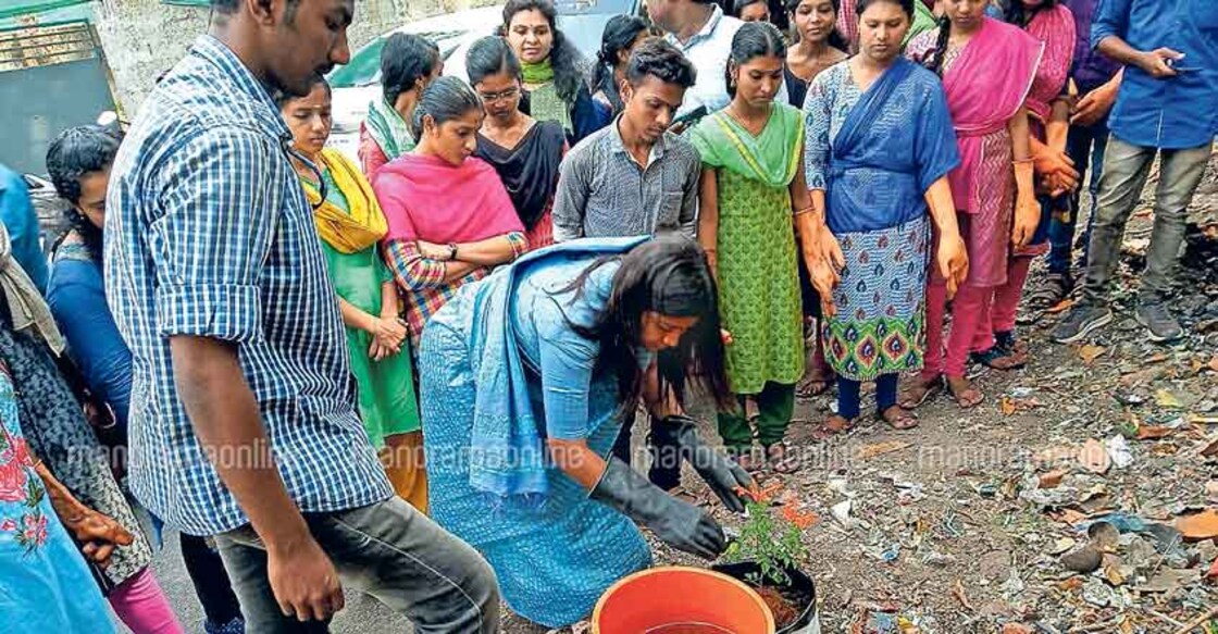 Another dirty city corner to turn into garden