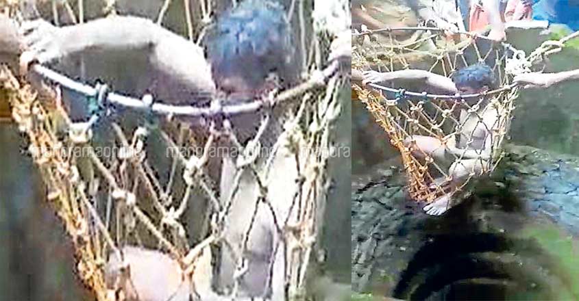 Man plunges into well while on a call, rescued after two days Man plunges into well while on a call, rescued after two days