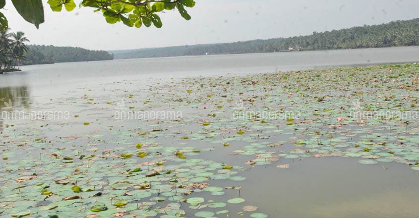 Efforts on to restore Kerala's second largest freshwater lake ...