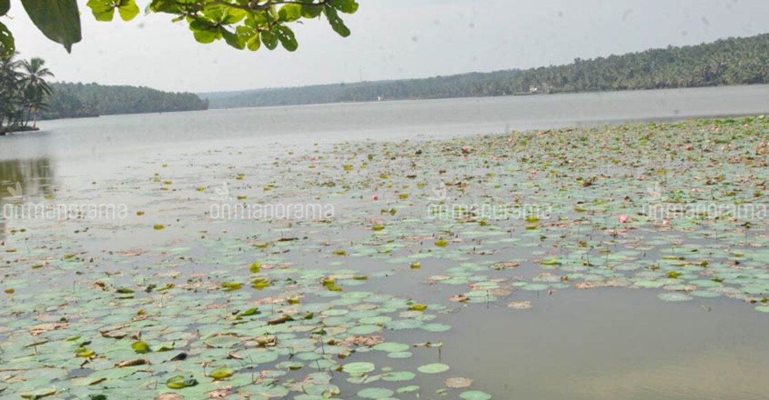  Vellayani lake