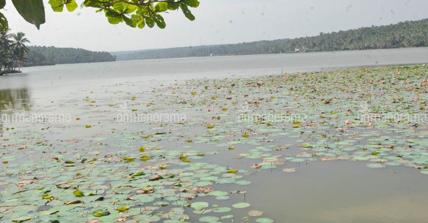  Vellayani lake