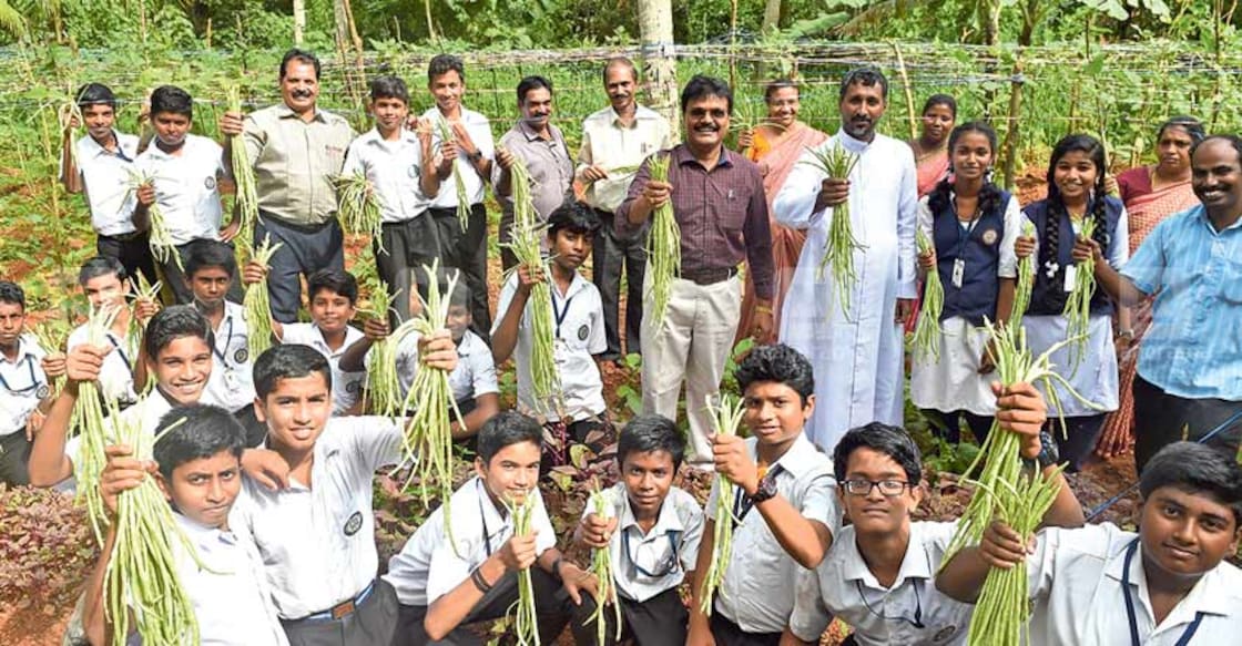 School students make a statement with vegetable farming School students make a statement with vegetable farming