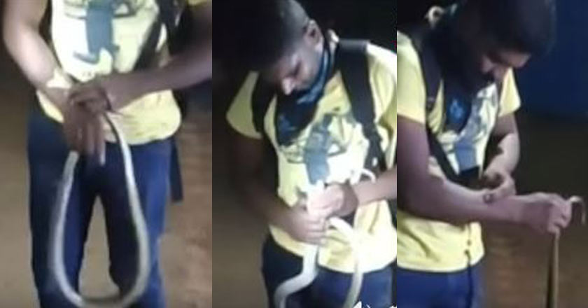 Snake catcher holds on to cobra despite suffering snakebite, dies soon ...