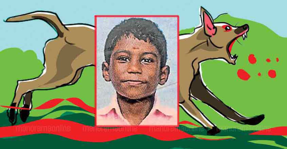 Rabies scare near Vembayam after boy's death