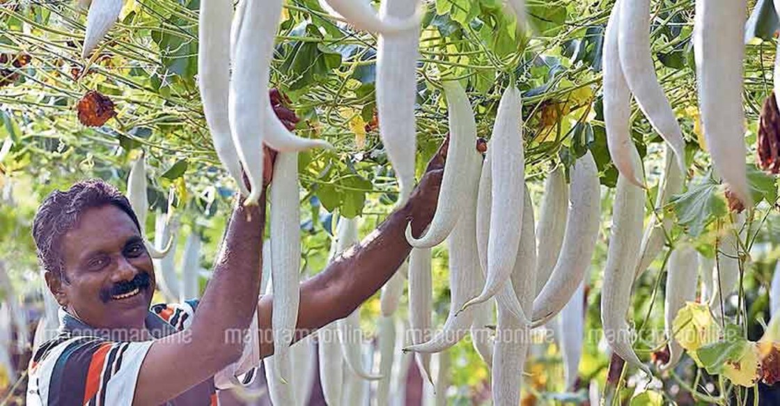 Thrissur cop reaps success with organic farming