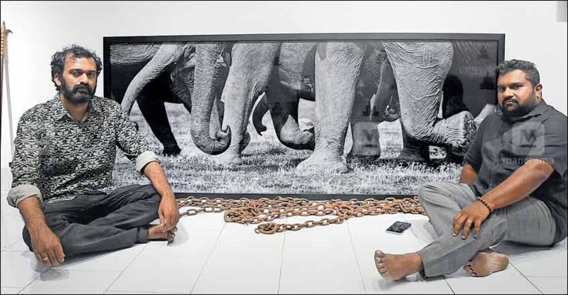 A dark canvas on the lives of elephants in Thrissur